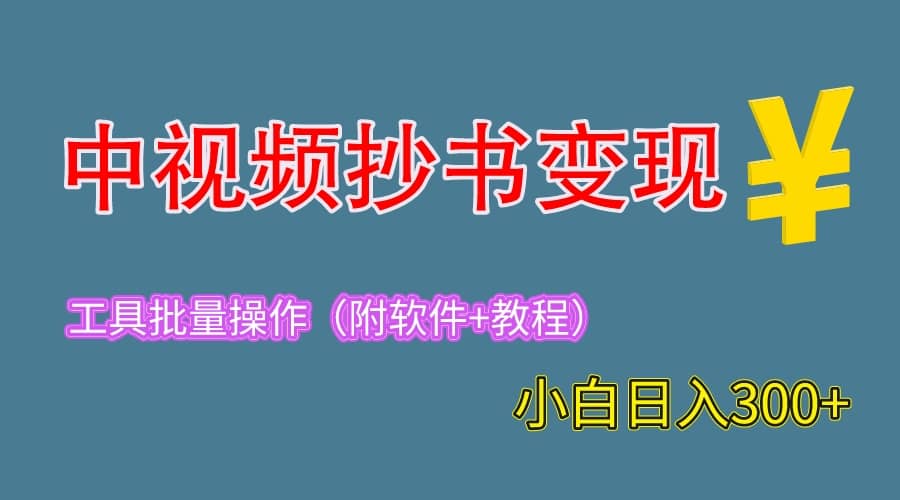 2023中视频抄书变现（附工具+教程），一天300+，特别适合新手操作的副业-智领未来创业网