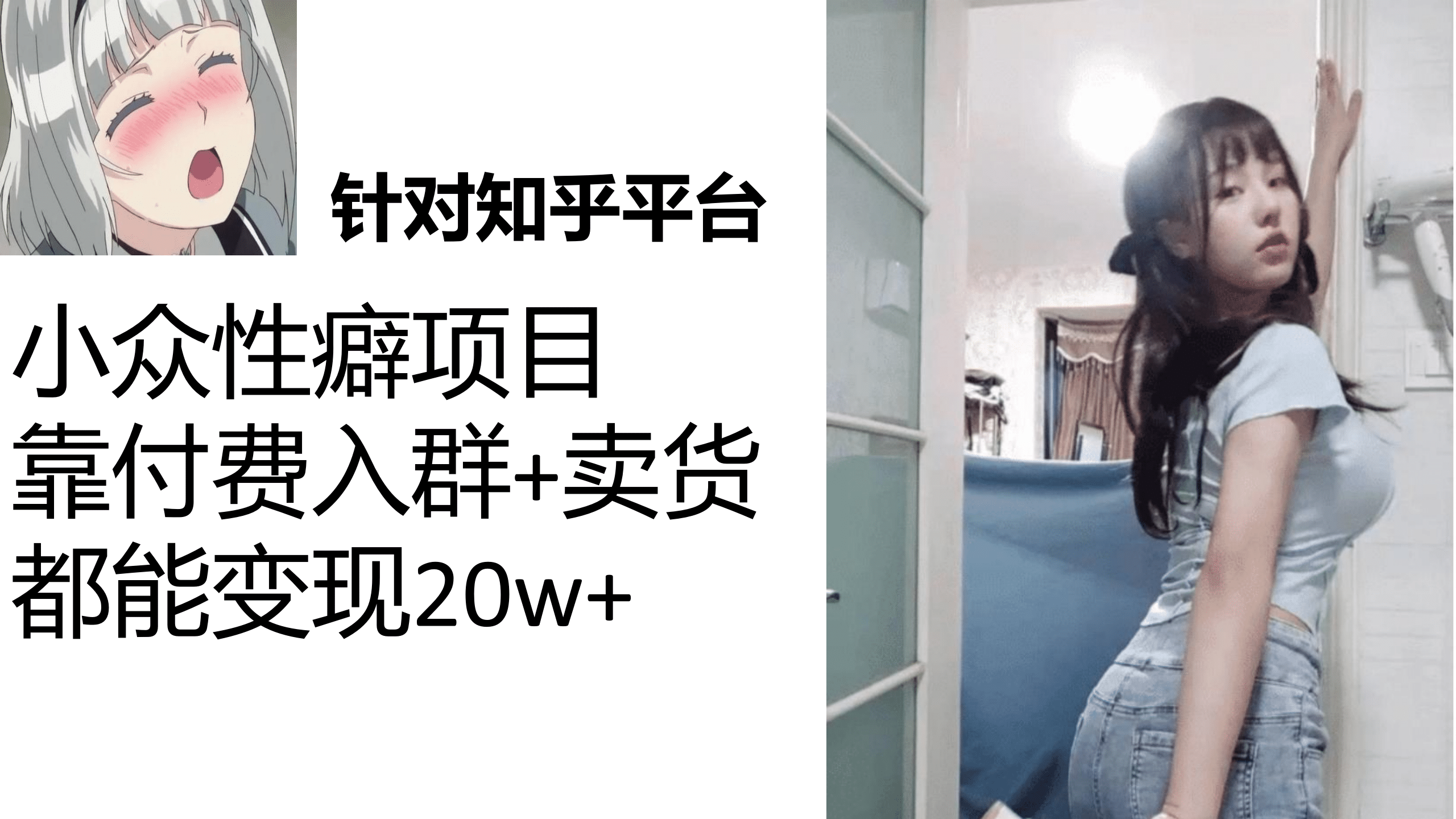 知乎小众性癖项目，Lsp的钱才是最好赚的，付费建群+卖货变现20w-智领未来创业网