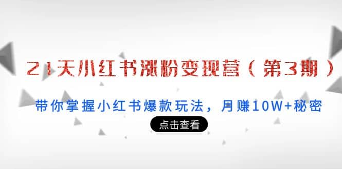21天小红书涨粉变现营（第3期）：带你掌握小红书爆款玩法，月赚10W+秘密-智领未来创业网