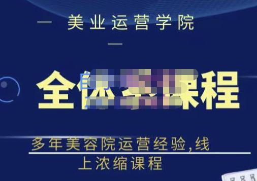 网红美容院全套营销落地课程，多年美容院运营经验，线上浓缩课程-智领未来创业网