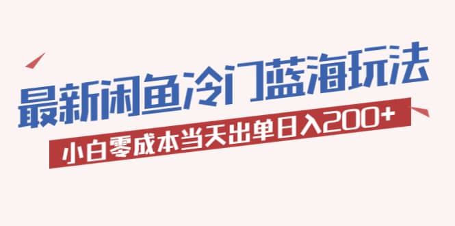 2023最新闲鱼冷门蓝海玩法，小白零成本当天出单日入200+-智领未来创业网