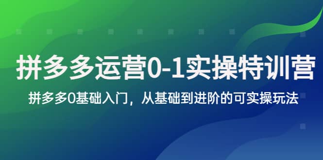 拼多多-运营0-1实操训练营，拼多多0基础入门，从基础到进阶的可实操玩法-智领未来创业网