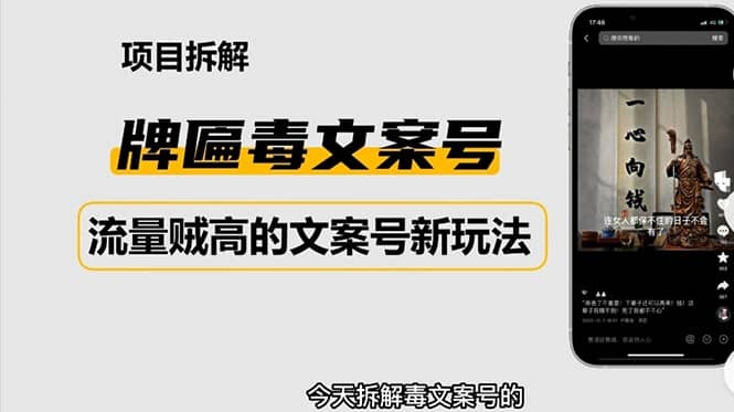 2023抖音快手毒文案新玩法，牌匾文案号，起号快易变现-智领未来创业网