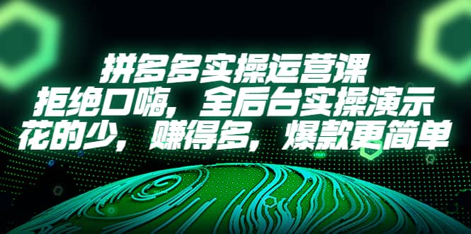拼多多实操运营课：拒绝口嗨，全后台实操演示，花的少，赚得多，爆款更简单-智领未来创业网