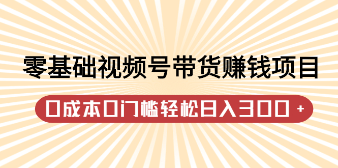 零基础视频号带货赚钱项目，0成本0门槛轻松日入300+【视频教程】-智领未来创业网