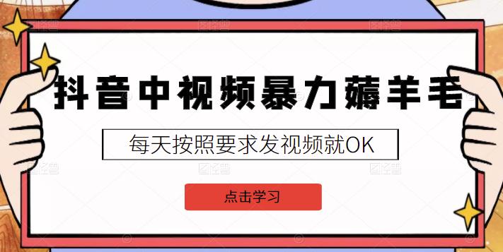 2022抖音中视频暴力薅羊毛白嫖项目：新号每天20块，老号几天几百块，可多号-智领未来创业网
