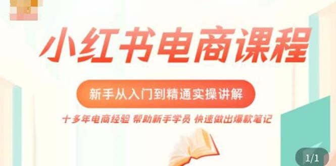 小红书电商新手入门到精通实操课，从入门到精通做爆款笔记，开店运营-智领未来创业网