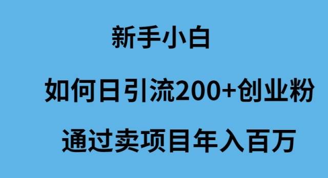 新手小白如何日引流200+创业粉通过卖项目年入百万-智领未来创业网