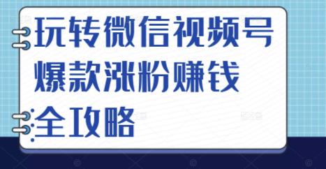 玩转微信视频号爆款涨粉赚钱全攻略，让你快速抓住流量风口，收获红利财富-智领未来创业网