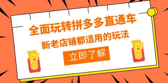 全面玩转拼多多直通车，新老店铺都适用的玩法（12节精华课）-智领未来创业网