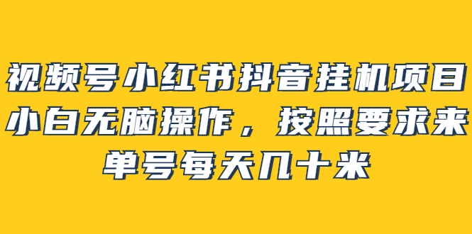 视频号小红书抖音挂机项目，小白无脑操作，按照要求来，单号每天几十米-智领未来创业网