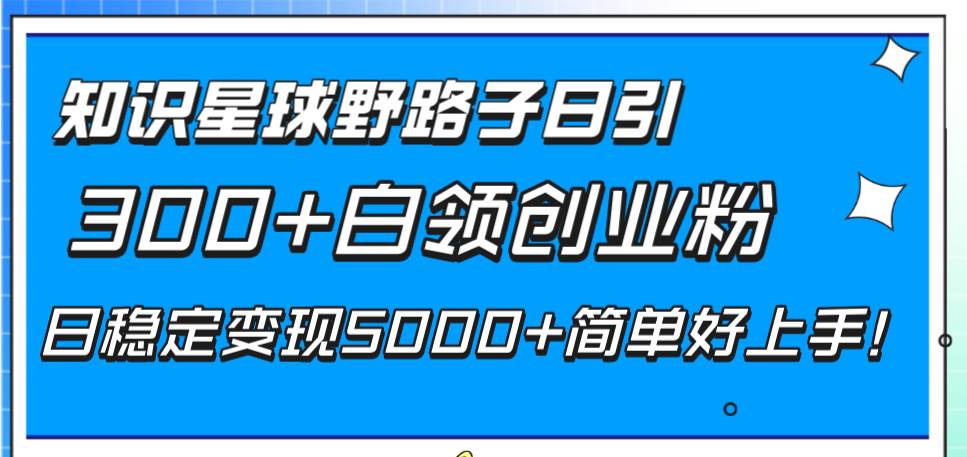 知识星球野路子日引300+白领创业粉，日稳定变现5000+简单好上手！-智领未来创业网