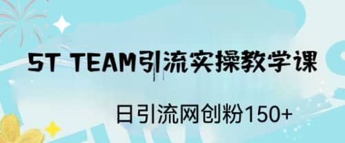 ST TEAM引流实操课，日引流网创粉100+-智领未来创业网