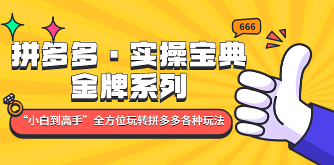 拼多多·实操宝典：金牌系列“小白到高手”带你全方位玩转拼多多各种玩法-智领未来创业网