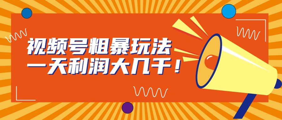 视频号粗暴玩法，一天利润大几千-智领未来创业网