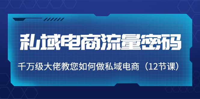 私域电商流量密码：千万级大佬教您如何做私域电商（12节课）-智领未来创业网