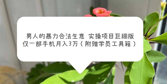 男人的暴力合法生意实操项目巨细版：仅一部手机月入3w（附赠学员工具箱）-智领未来创业网
