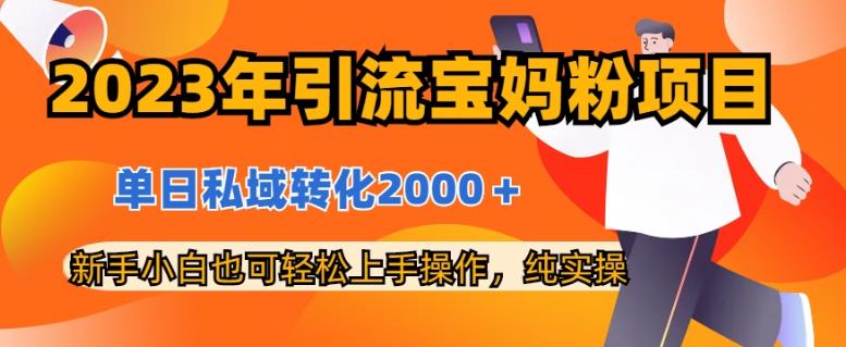 2023年引流宝妈粉项目，单日私域转化2000＋，新手小白也可轻松上手操作，纯实操-智领未来创业网