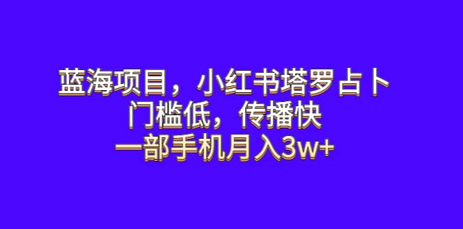 蓝海项目，小红书塔罗占卜，门槛低，传播快，一部手机月入3w+-智领未来创业网