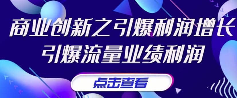 《商业创新之引爆利润增长》引爆流量业绩利润-智领未来创业网