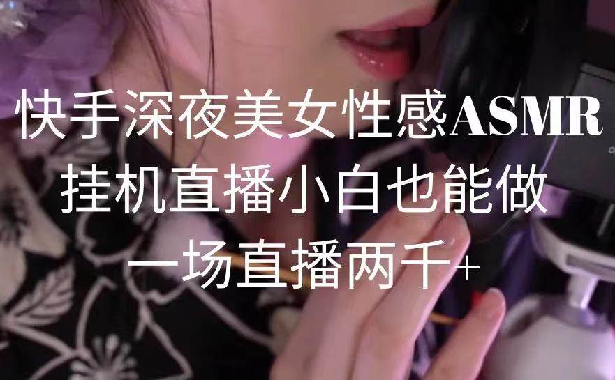 快手深夜美女性感ASMR挂机直播，小白也能做，一场直播两千+-智领未来创业网