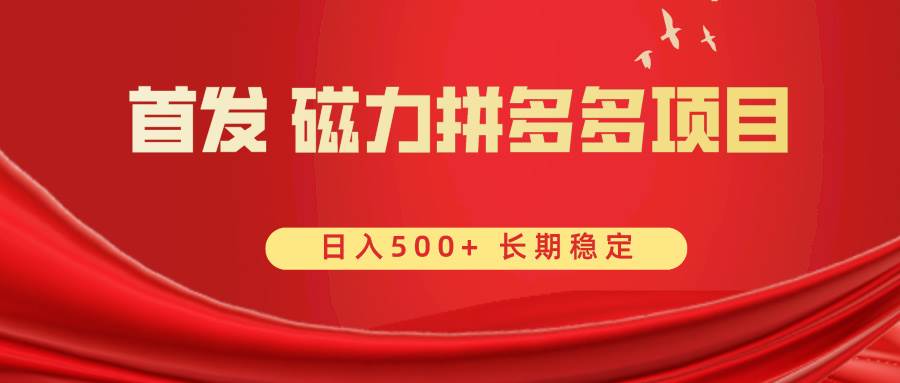 首发 磁力拼多多自撸  日入500+-智领未来创业网