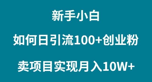 新手小白如何通过卖项目实现月入10W+-智领未来创业网