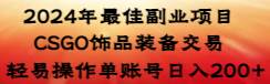 2024年最佳副业项目 CSGO饰品装备交易 轻易操作单账号日入200+-智领未来创业网