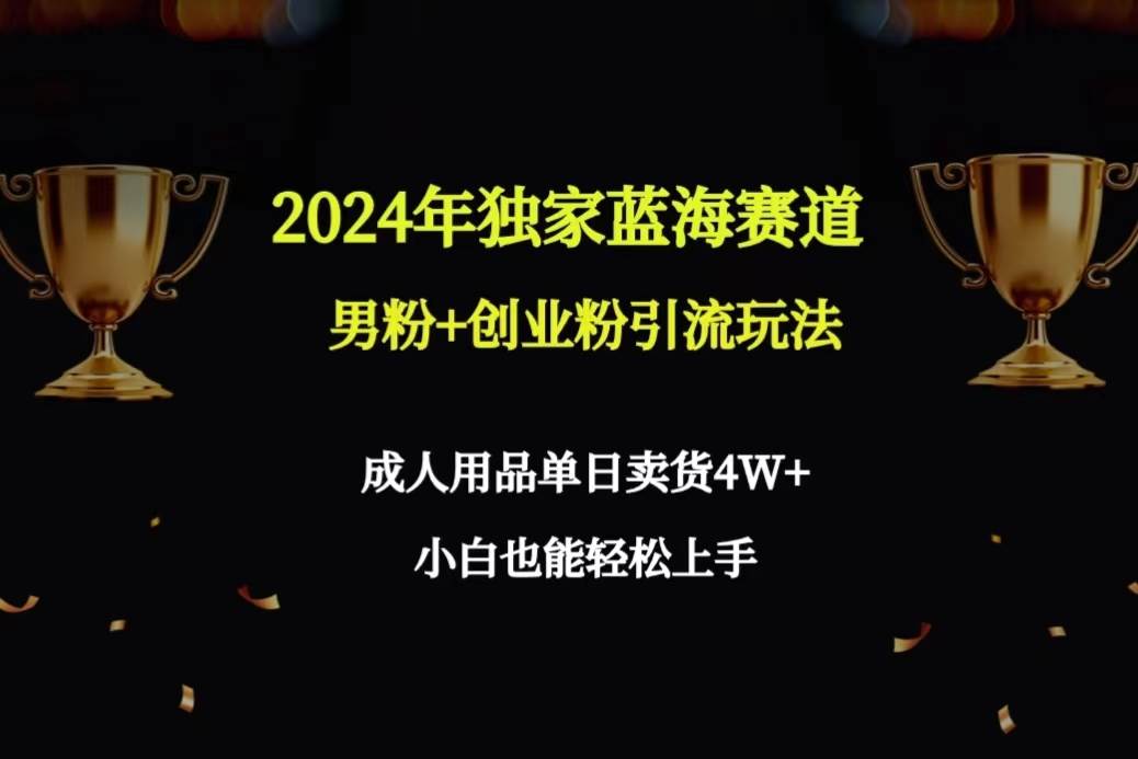 2024年独家蓝海赛道男粉+创业粉引流玩法，成人用品单日卖货4W+保姆教程-智领未来创业网