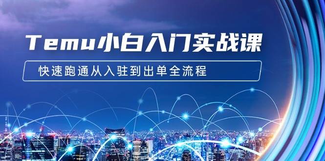 Temu小白入门实战课：跨境拼多多电商培训 快速跑通从入驻到出单全流程-12节-智领未来创业网