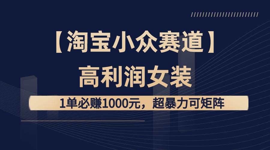 【淘宝小众赛道】高利润女装：1单必赚1000元，超暴力可矩阵-智领未来创业网