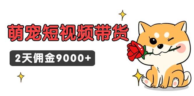 东哲日记·萌宠短视频带货，2天佣金9000+-智领未来创业网