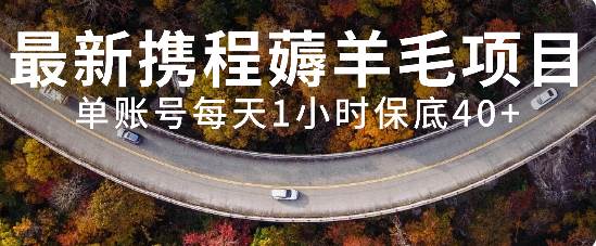 最新携程薅羊毛项目，单账号每天1小时保底收益40+，可矩阵操作-智领未来创业网
