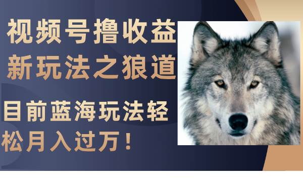 视频号撸收益新玩法之狼道，目前蓝海玩法轻松月入过万！-智领未来创业网