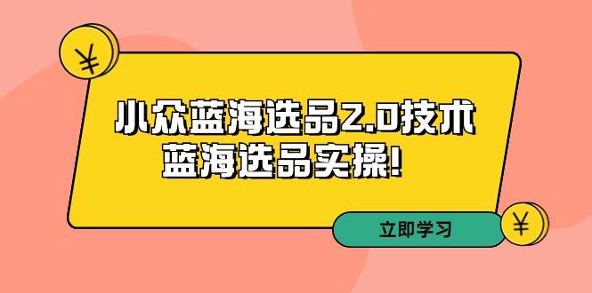 拼多多培训第33期：小众蓝海选品2.0技术-蓝海选品实操！-智领未来创业网