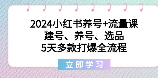 2024小红书养号+流量课：建号、养号、选品，5天多款打爆全流程-智领未来创业网