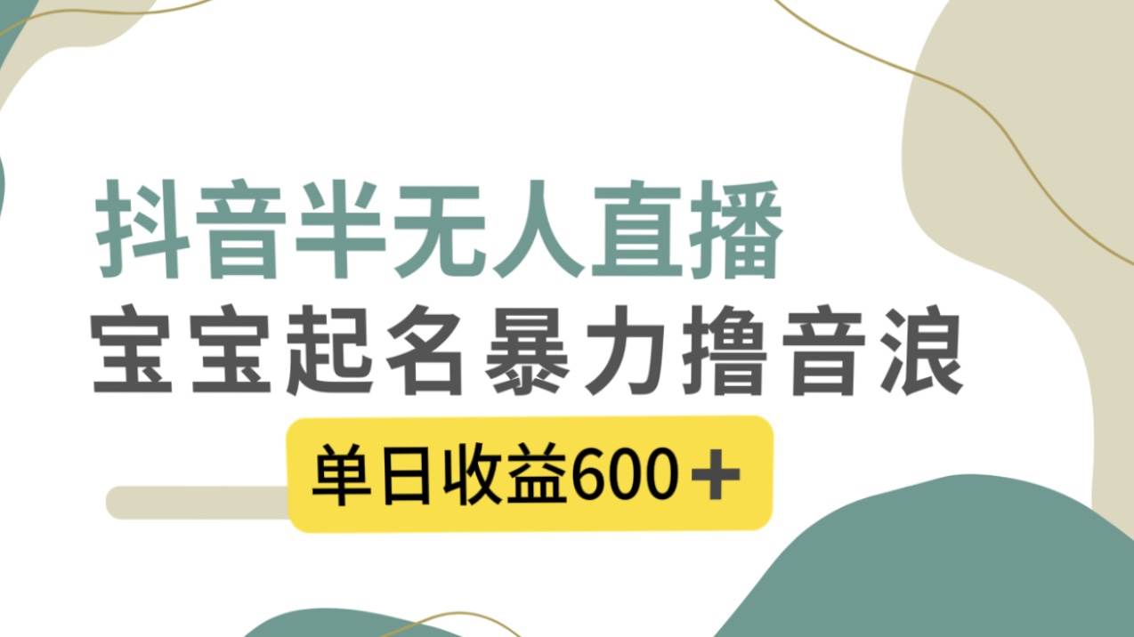 抖音半无人直播，宝宝起名，暴力撸音浪，单日收益600+-智领未来创业网