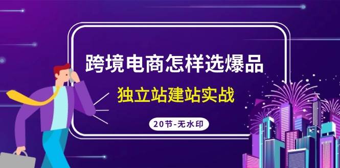 跨境电商怎样选爆品，独立站建站实战（20节高清无水印课）-智领未来创业网