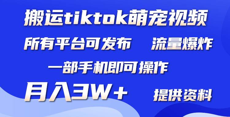 搬运Tiktok萌宠类视频，一部手机即可。所有短视频平台均可操作，月入3W+-智领未来创业网