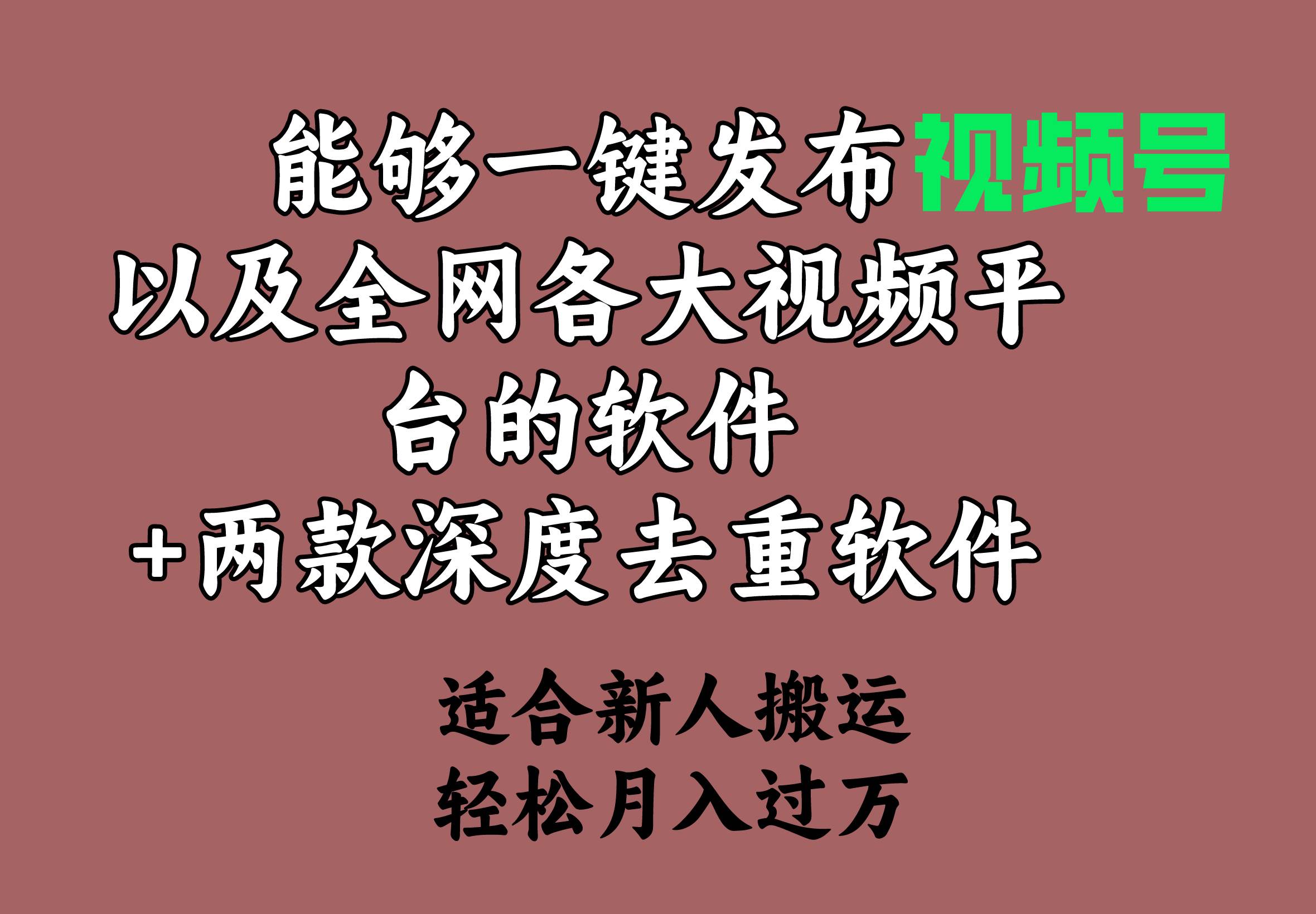 能够一键发布视频号以及全网各大视频平台的软件+两款深度去重软件 适合…-智领未来创业网