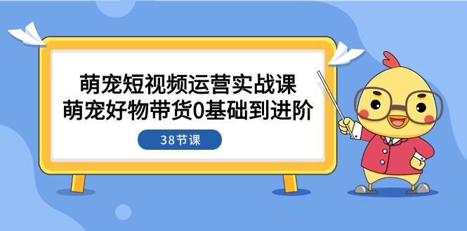 萌宠·短视频运营实战课：萌宠好物带货0基础到进阶（38节课）-智领未来创业网
