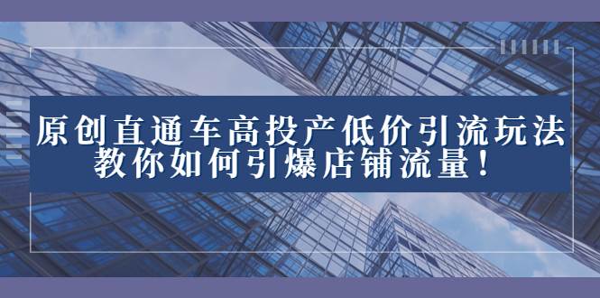 2023直通车高投产低价引流玩法，教你如何引爆店铺流量！-智领未来创业网