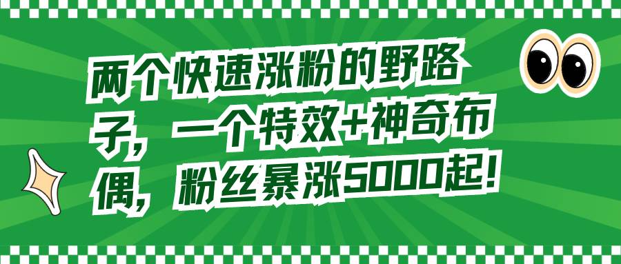 两个快速涨粉的野路子，一个特效+神奇布偶，粉丝暴涨5000起！-智领未来创业网