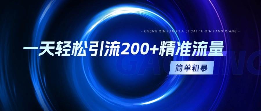 一天轻松引流200+精准流量，简单粗暴，一看就会-智领未来创业网