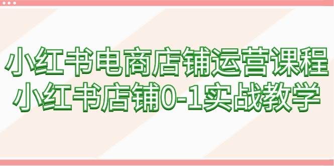 小红书电商店铺运营课程，小红书店铺0-1实战教学（60节课）-智领未来创业网
