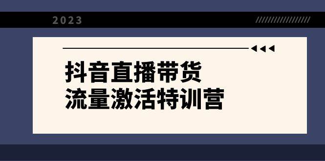 抖音直播带货-流量激活特训营，入行新手小白主播必学（21节课+资料）-智领未来创业网