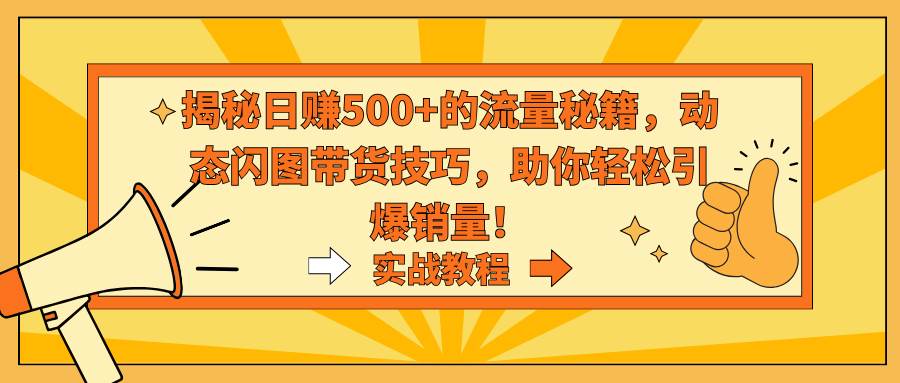 揭秘日赚500+的流量秘籍，动态闪图带货技巧，助你轻松引爆销量！-智领未来创业网