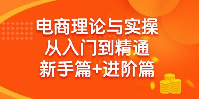 电商理论与实操从入门到精通 新手篇+进阶篇-智领未来创业网
