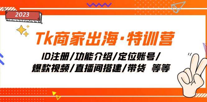 Tk商家出海·特训营：ID注册/功能介绍/定位账号/爆款视频/直播间搭建/带货-智领未来创业网