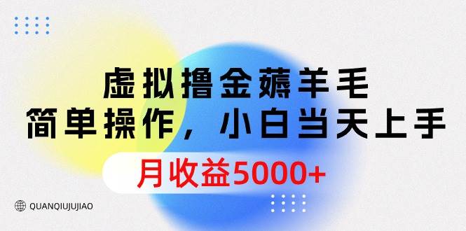 虚拟撸金薅羊毛，简单操作，小白当天上手，月收益5000+-智领未来创业网